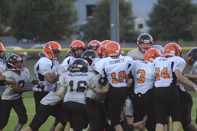 其开辟了一 其开辟了一