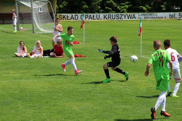 球迷们也将 球迷们也将