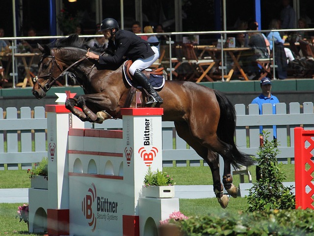 心球員如莫 心球員如莫