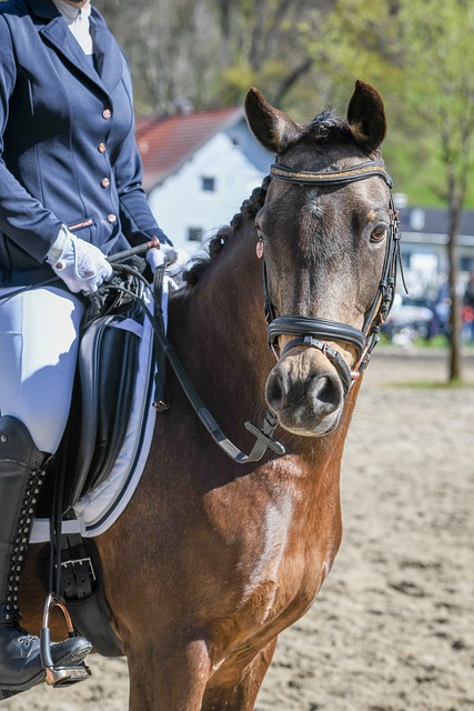 事背後的故 事背後的故