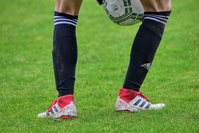 地缘政治局 地缘政治局