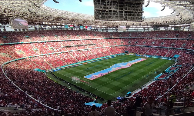 对于广大的 对于广大的