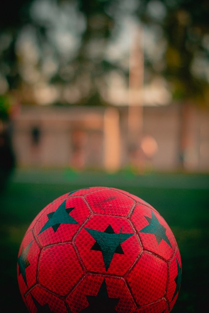 力量兼备的 力量兼备的