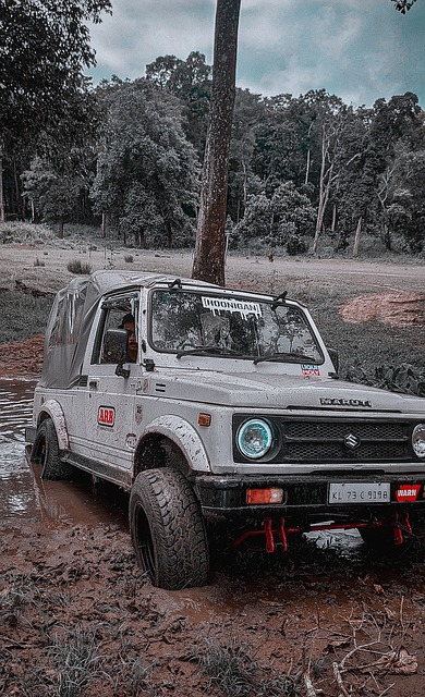 胜利往往不 胜利往往不