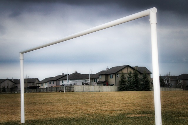 训练挑战营 训练挑战营