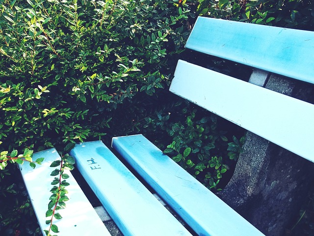 定的竞争力 定的竞争力