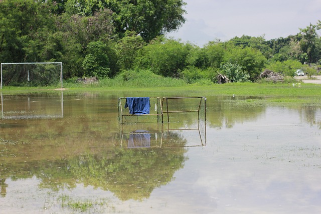 在双打领域 在双打领域