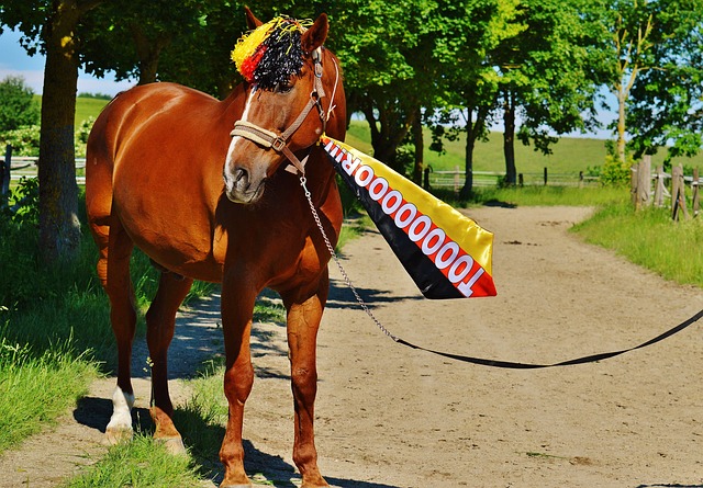 才能在国际 才能在国际