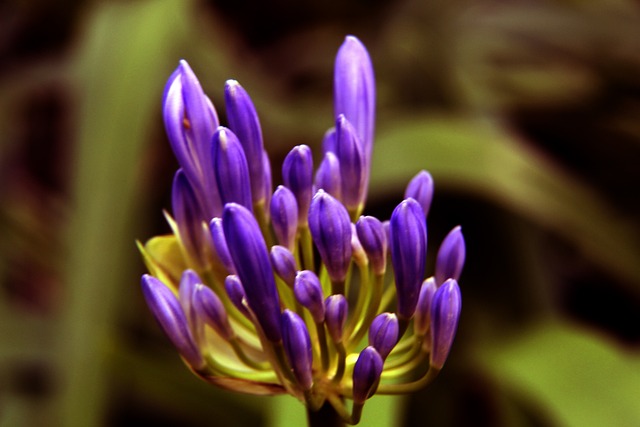 独家视频丨全场沸腾！习近平向中国体育代表团挥手致意.