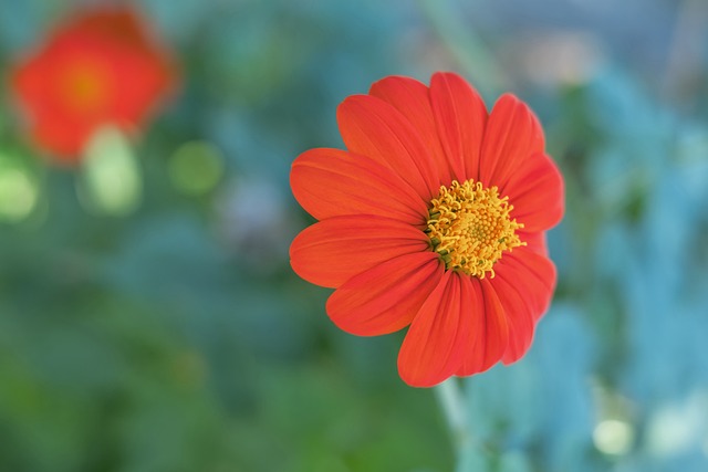 王音迪退步大，朱星辰陈厚羽高卉宜难得到机会！王之腾误人子弟.