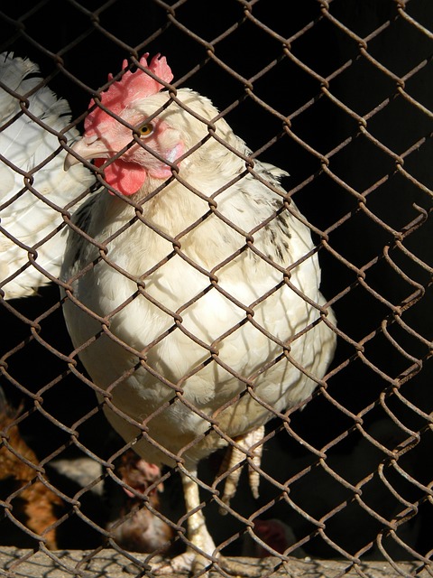 人们在体育 人们在体育